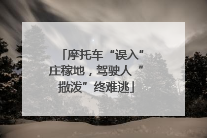 摩托车“误入”庄稼地，驾驶人“撒泼”终难逃