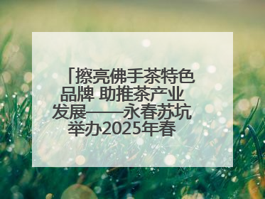 擦亮佛手茶特色品牌 助推茶产业发展——永春苏坑举办2025年春季佛手茶王赛