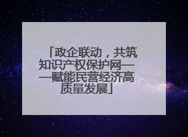 政企联动，共筑知识产权保护网——赋能民营经济高质量发展