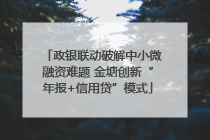 政银联动破解中小微融资难题 金塘创新“年报+信用贷”模式