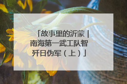 故事里的沂蒙｜南海第一武工队智歼日伪军（上）