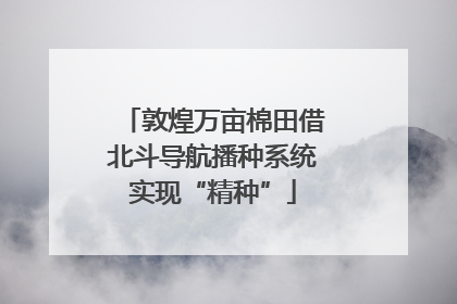 敦煌万亩棉田借北斗导航播种系统实现“精种”