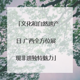 文化和自然遗产日 广西全方位展现非遗独特魅力