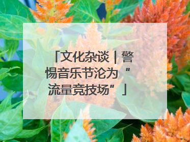 文化杂谈｜警惕音乐节沦为“流量竞技场”