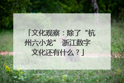 文化观察：除了“杭州六小龙” 浙江数字文化还有什么？