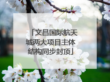 文昌国际航天城两大项目主体结构同步封顶
