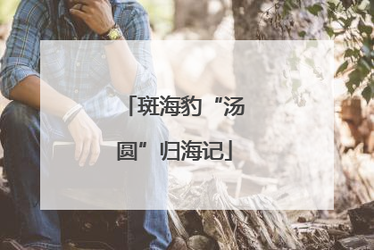 斑海豹“汤圆”归海记