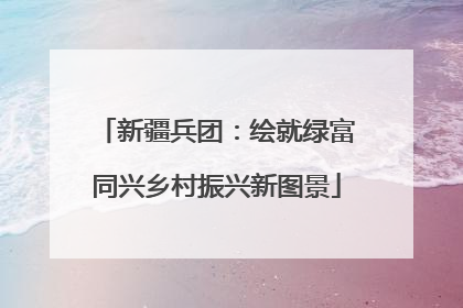 新疆兵团：绘就绿富同兴乡村振兴新图景