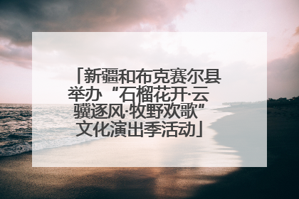 新疆和布克赛尔县举办“石榴花开·云骥逐风·牧野欢歌”文化演出季活动