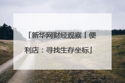 新华网财经观察丨便利店：寻找生存坐标