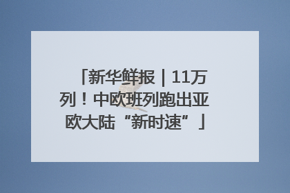 新华鲜报｜11万列！中欧班列跑出亚欧大陆“新时速”