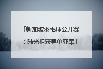 新加坡羽毛球公开赛：陆光祖获男单亚军