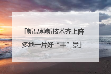 新品种新技术齐上阵 多地一片好“丰”景