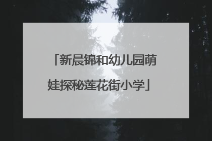 新晨锦和幼儿园萌娃探秘莲花街小学