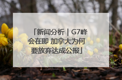 新闻分析｜G7峰会在即 加拿大为何要放弃达成公报