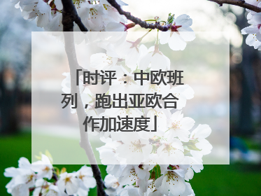 时评：中欧班列，跑出亚欧合作加速度