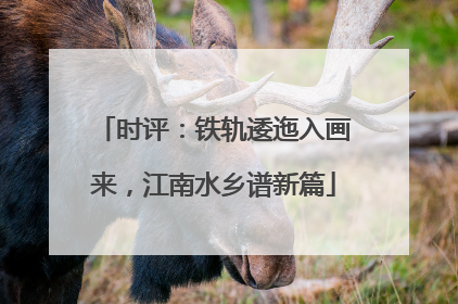 时评：铁轨逶迤入画来，江南水乡谱新篇