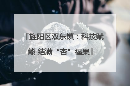 旌阳区双东镇：科技赋能 结满“杏”福果