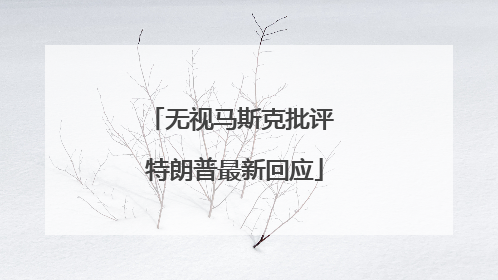 无视马斯克批评 特朗普最新回应