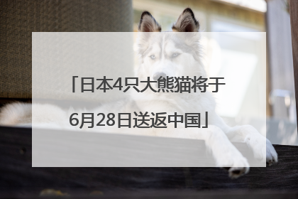 日本4只大熊猫将于6月28日送返中国