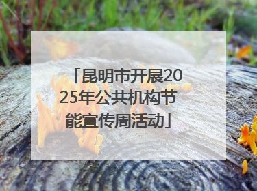 昆明市开展2025年公共机构节能宣传周活动