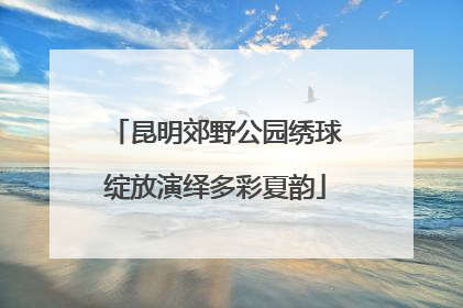 昆明郊野公园绣球绽放演绎多彩夏韵