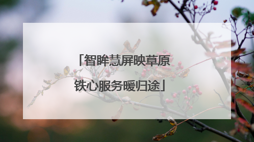智眸慧屏映草原 铁心服务暖归途