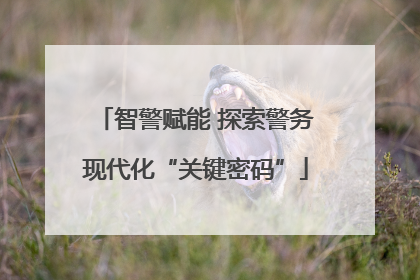 智警赋能 探索警务现代化“关键密码”