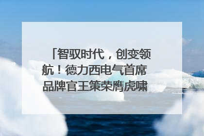 智驭时代，创变领航！德力西电气首席品牌官王策荣膺虎啸奖年度品牌人物