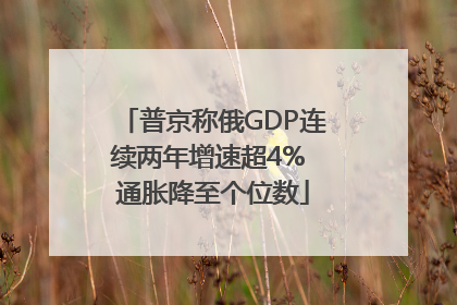普京称俄GDP连续两年增速超4% 通胀降至个位数