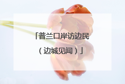 普兰口岸访边民（边城见闻）