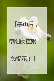 暴雨后，阜阳疾控紧急提示！