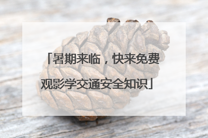 暑期来临，快来免费观影学交通安全知识
