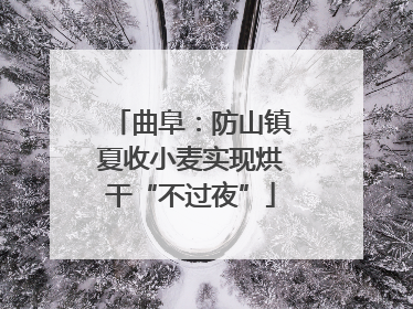 曲阜：防山镇夏收小麦实现烘干“不过夜”