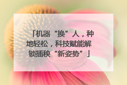 机器“换”人，种地轻松，科技赋能解锁插秧“新姿势”