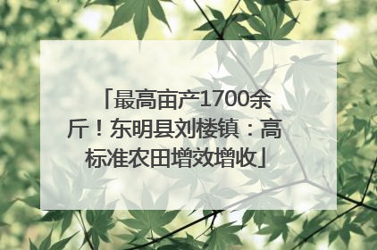 最高亩产1700余斤！东明县刘楼镇：高标准农田增效增收
