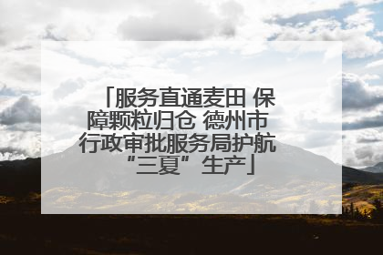 服务直通麦田 保障颗粒归仓 德州市行政审批服务局护航“三夏”生产