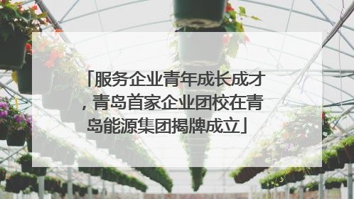 服务企业青年成长成才，青岛首家企业团校在青岛能源集团揭牌成立