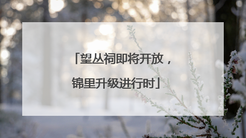望丛祠即将开放，锦里升级进行时