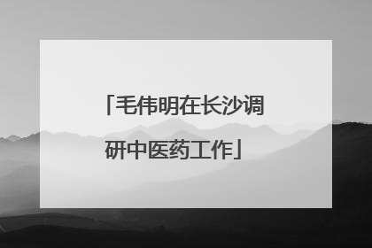 毛伟明在长沙调研中医药工作