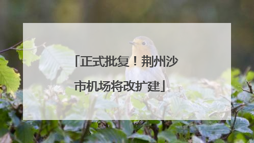 正式批复！荆州沙市机场将改扩建
