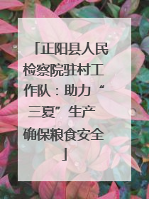 正阳县人民检察院驻村工作队：助力“三夏”生产 确保粮食安全