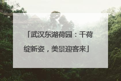 武汉东湖荷园：千荷绽新姿，美景迎客来