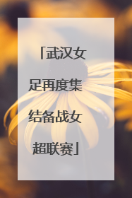 武汉女足再度集结备战女超联赛