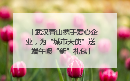 武汉青山携手爱心企业，为“城市天使”送端午暖“新”礼包