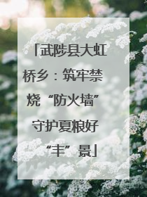 武陟县大虹桥乡：筑牢禁烧“防火墙” 守护夏粮好“丰”景