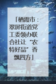 栖霞市：翠屏街道党工委领办联合社让“农特好品”香飘四方