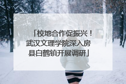 校地合作促振兴！武汉文理学院深入房县白鹤镇开展调研