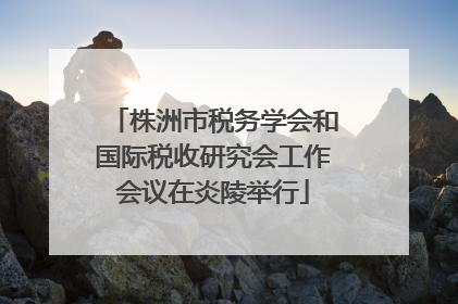 株洲市税务学会和国际税收研究会工作会议在炎陵举行