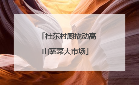 桂东村厨撬动高山蔬菜大市场